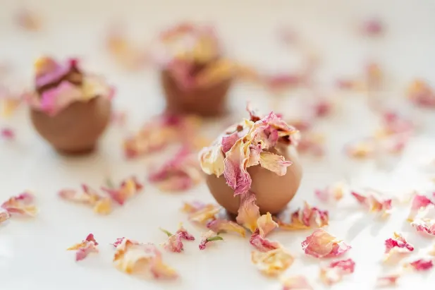 Casino Fantastic Spins Android/iOS aplikacija